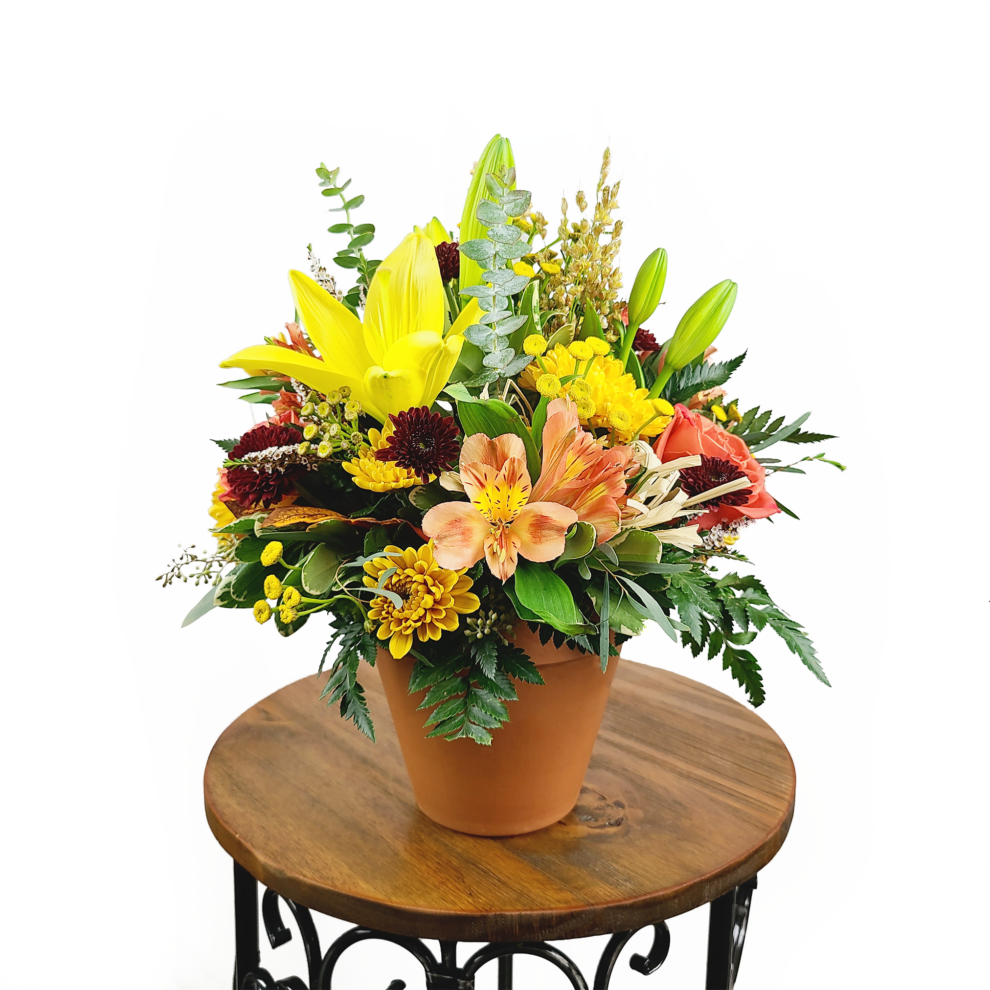 Darling Fall Moscarillo's Garden Shoppe