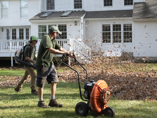 cleanupmulch
