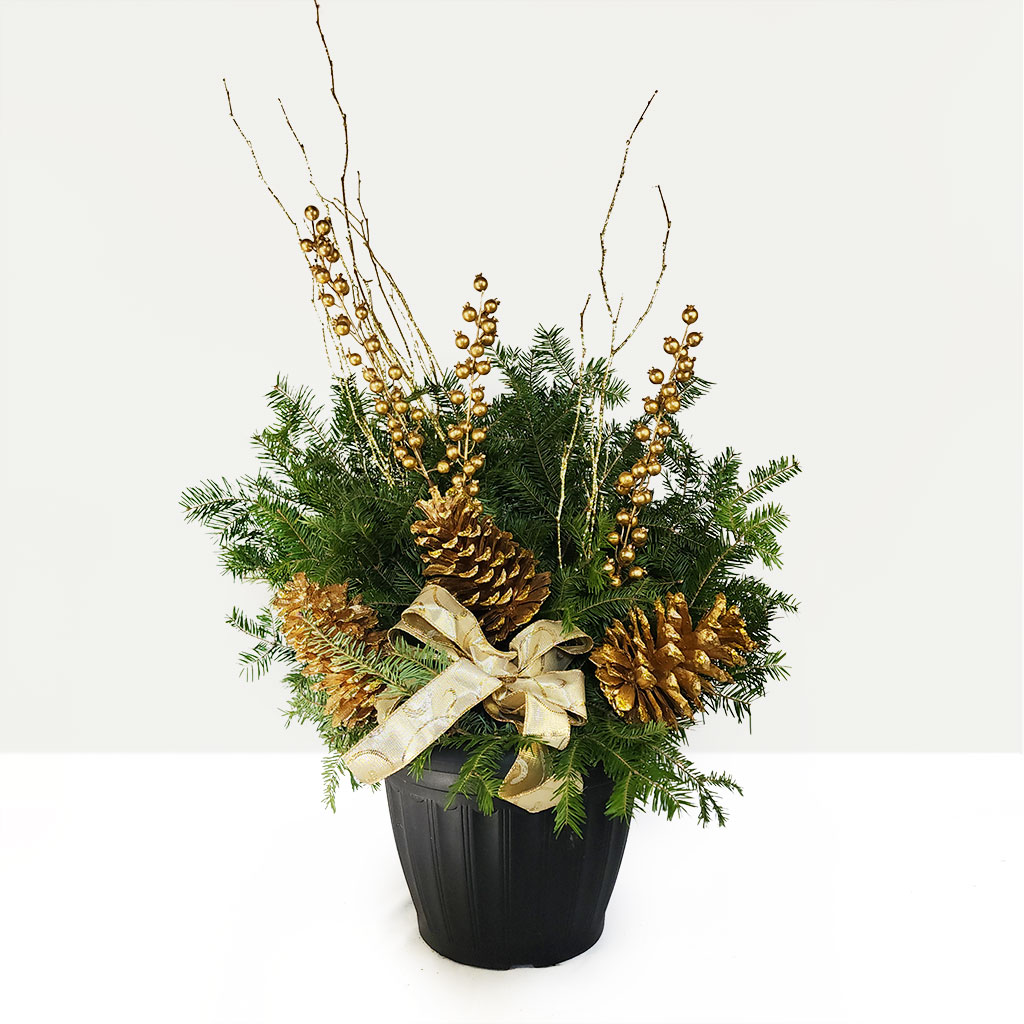 Frost and Fir Planter