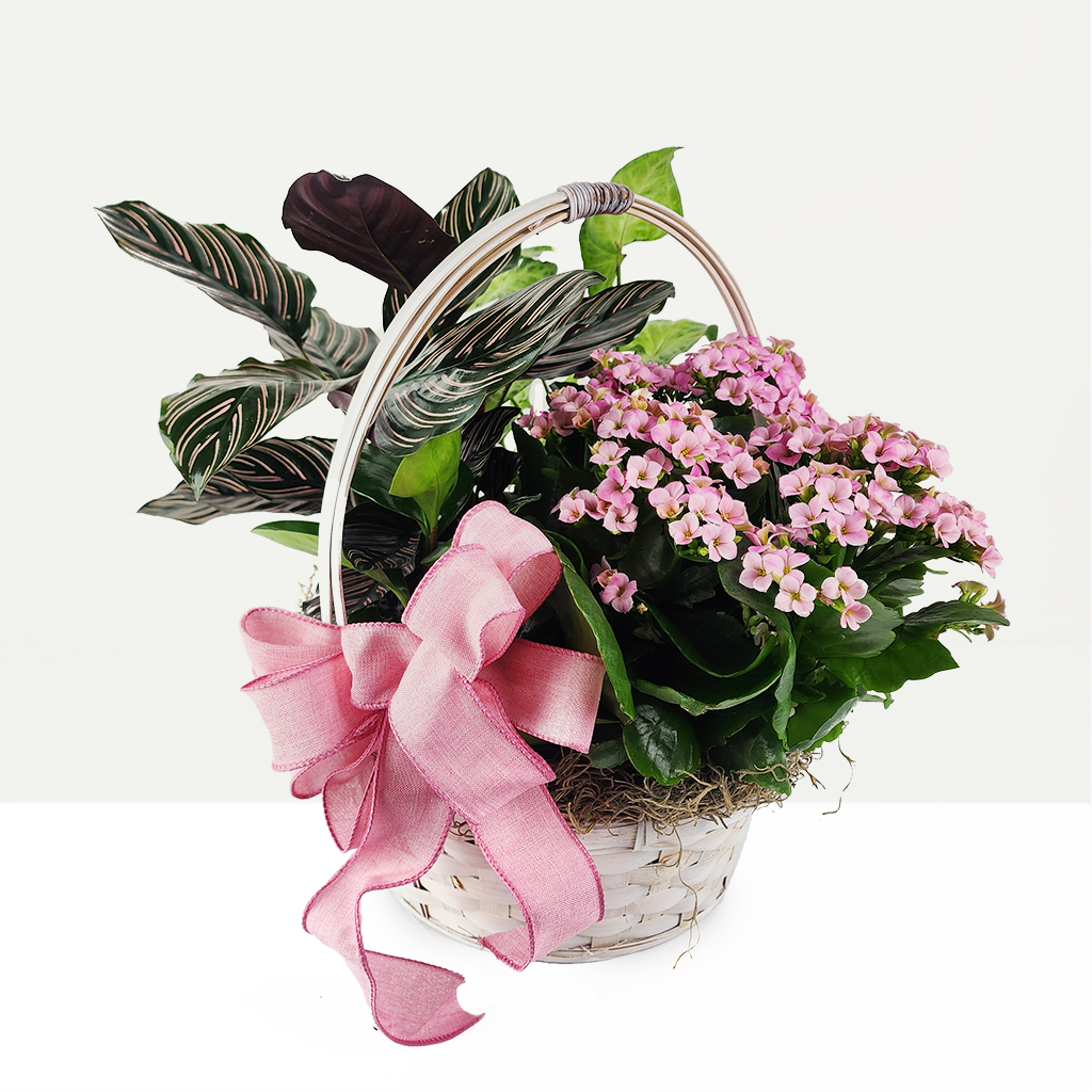 Sweet Pink Basket