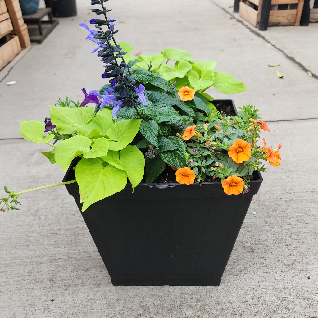 Garden Mix Planter