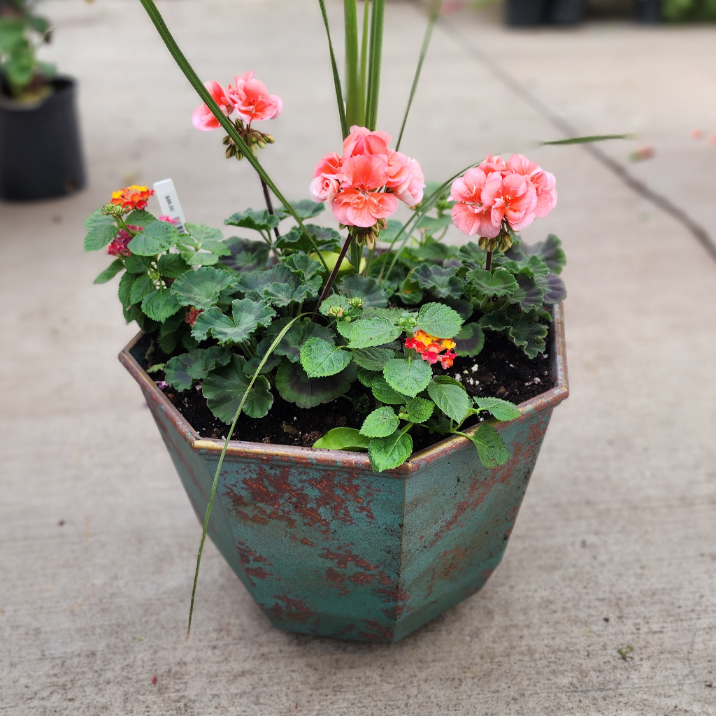 Spring Surprise Planter