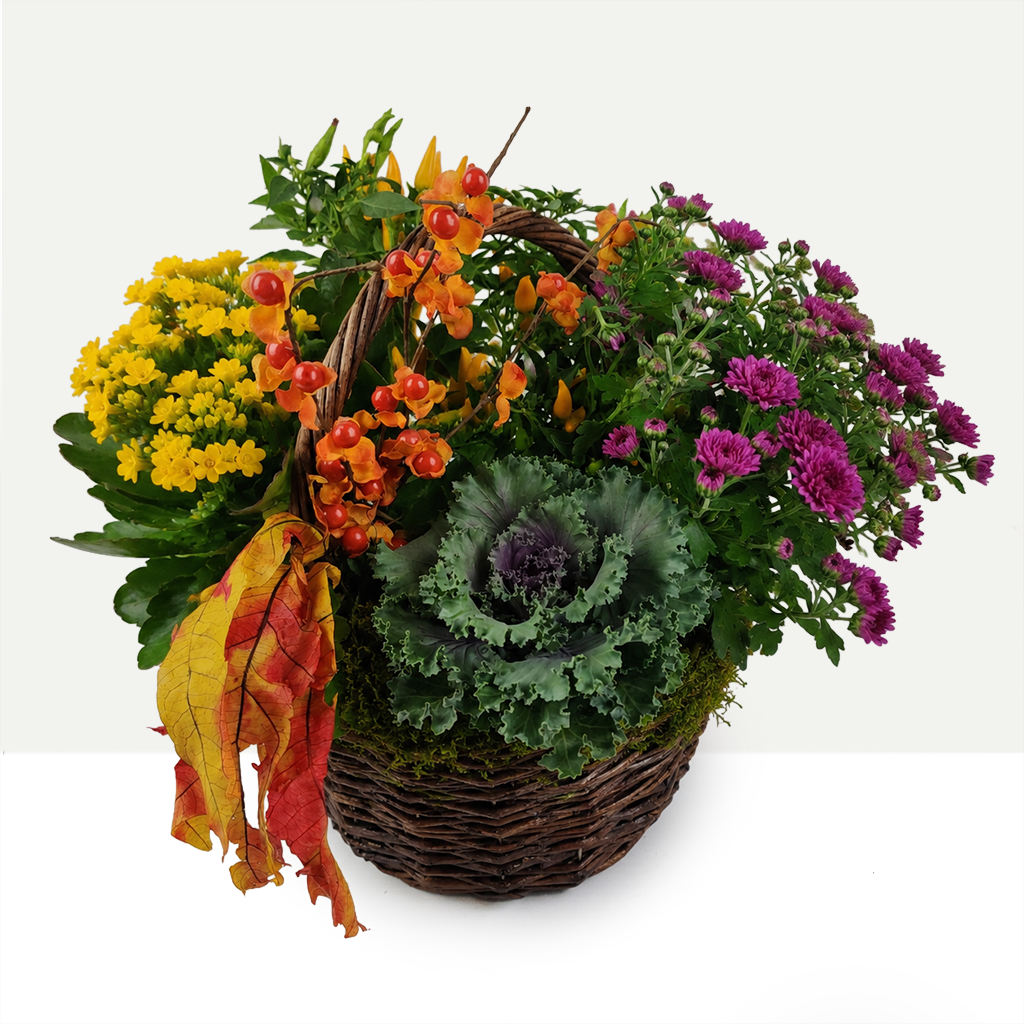 Autumn Bounty Basket