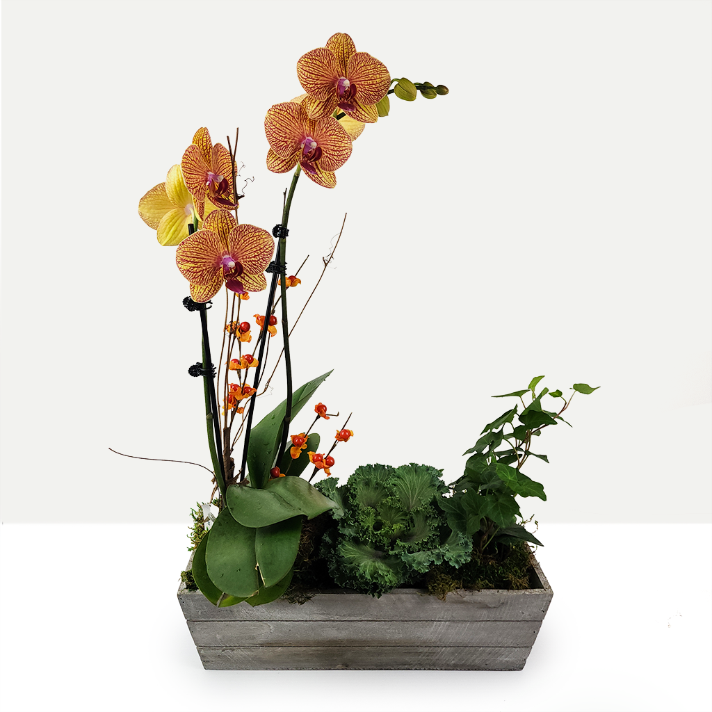 Copperwood Garden